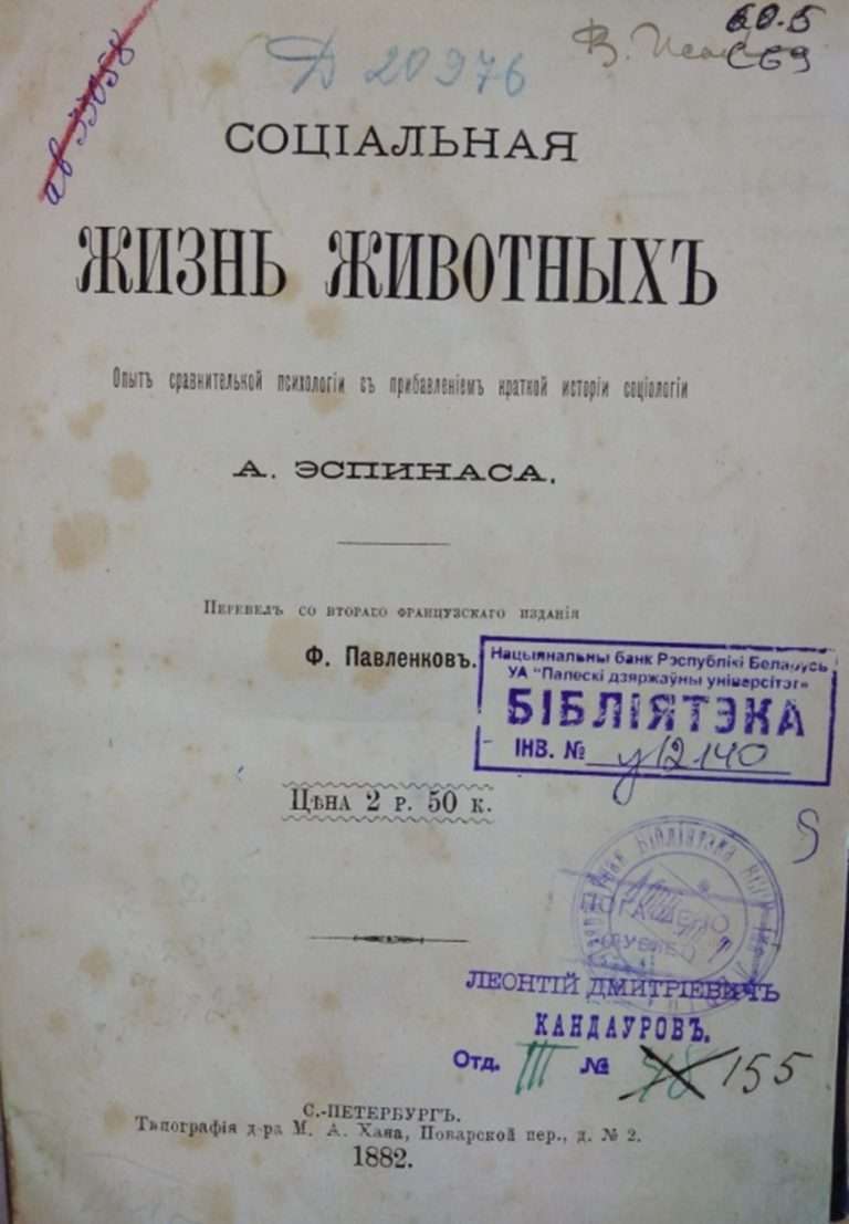 Рисунок11
